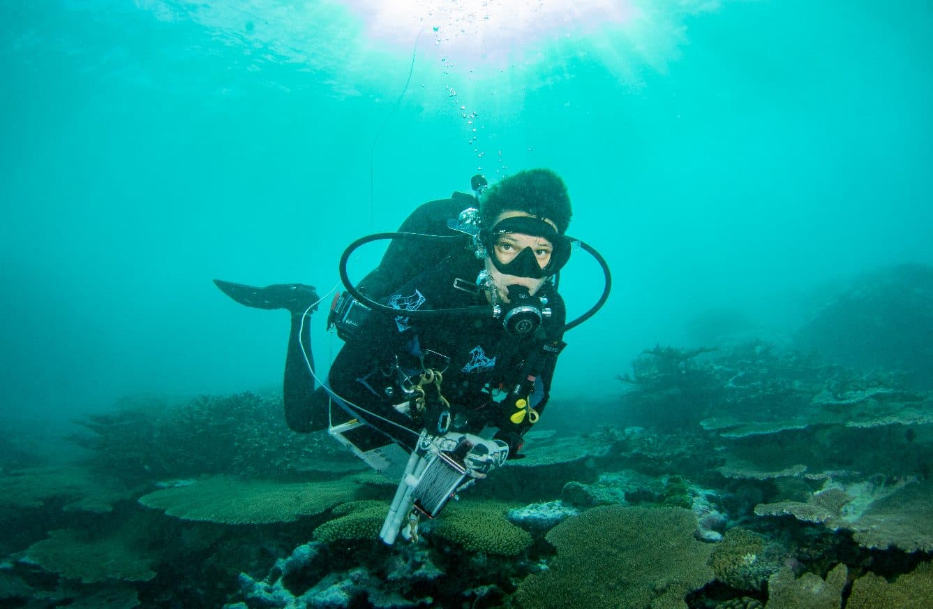 Scuba Diver