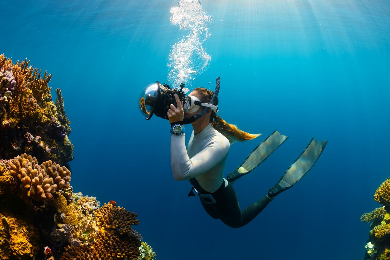 Marine Photography Competition